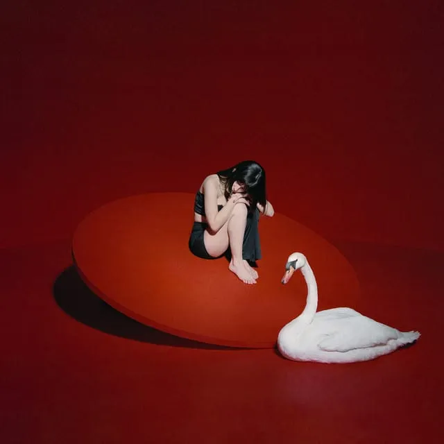 María album cover