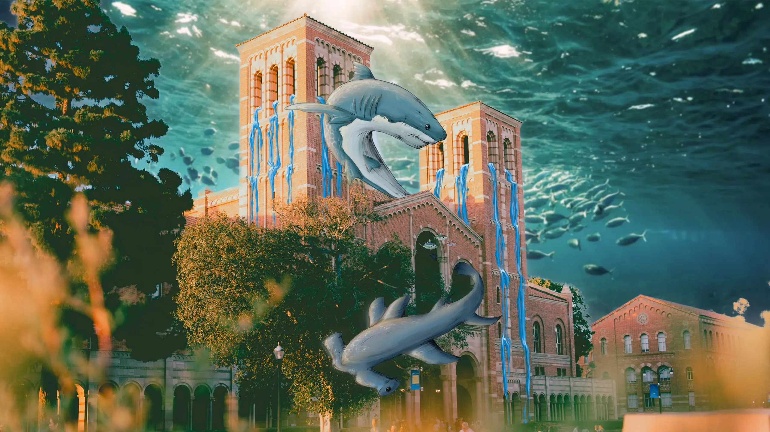 UCLA Underwater cover image
