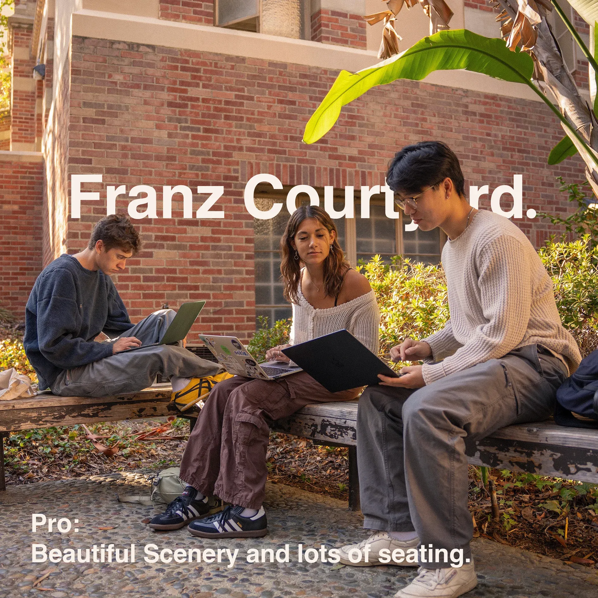 Study Spots at UCLA cover image